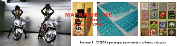прущие крисы Балахна