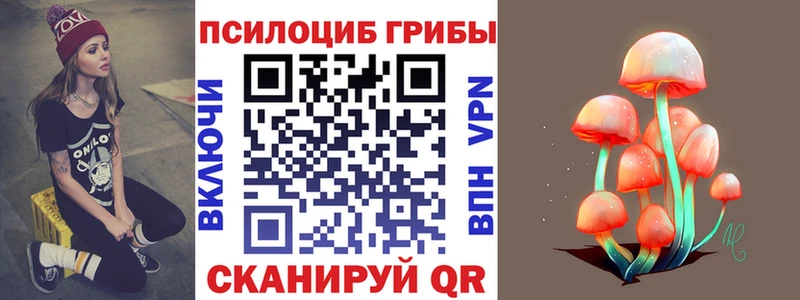 купить закладку  Лесной  Псилоцибиновые грибы Magic Shrooms 